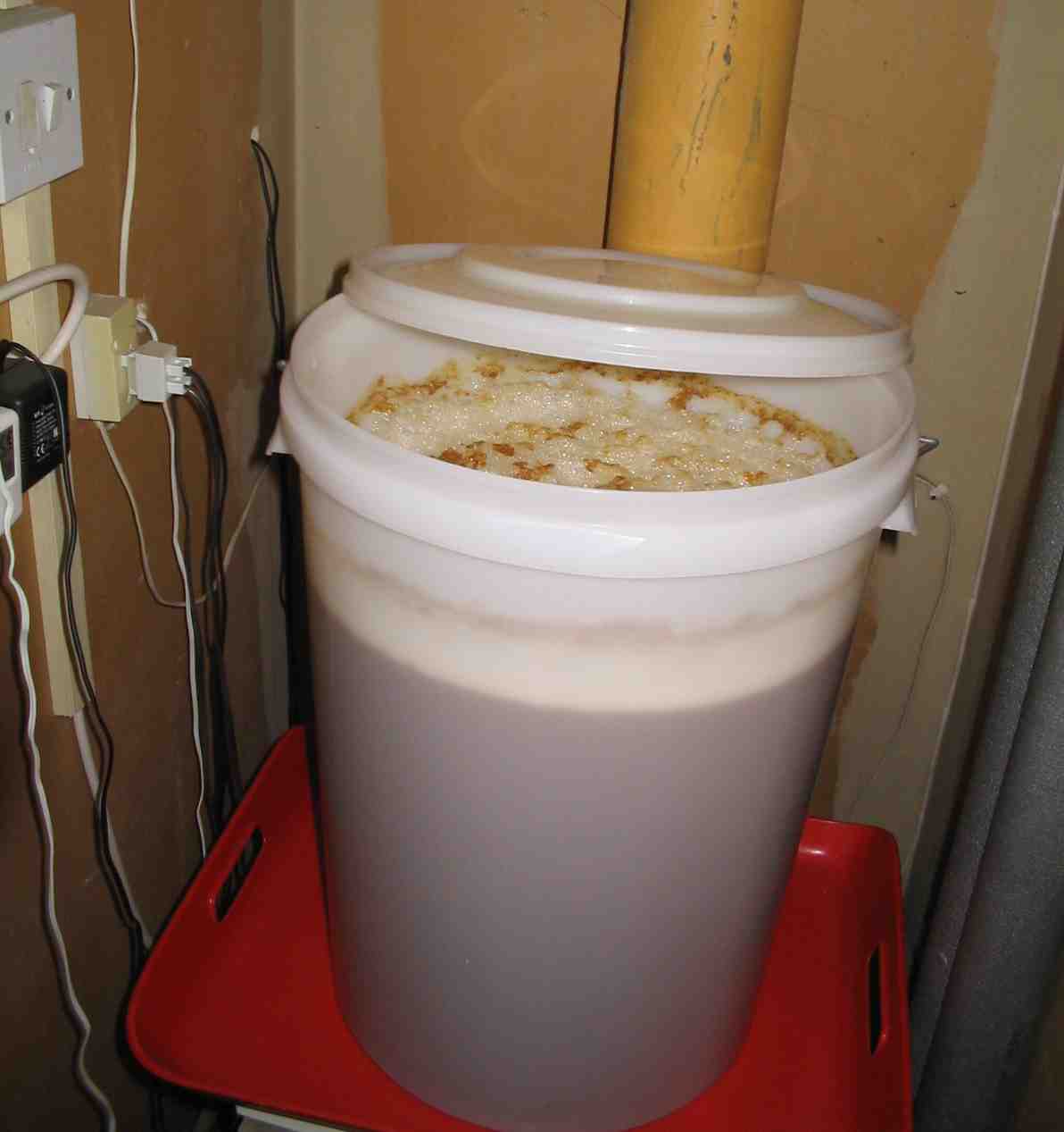 Fermenting beer